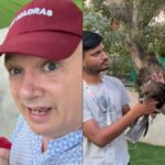 'Hot for them too': British man praised online for rescuing dehydrated bird amid Delhi’s brutal heatwave