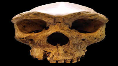 In 1921, a miner’s dynamite blast in Zambia unearthed a face that rewrote the map of human evolution