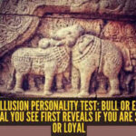 Optical illusion personality test: Bull or elephant? The animal you see first reveals if you are stubborn or loyal