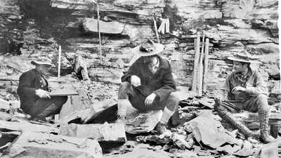 In 1909, an explorer found strange markings in the rock and unearthed the Burgess Shale, a 500-million-year-old secret