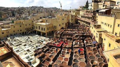 Chouara Tannery in Fez: The oldest and smelliest leather-making site in Morocco
