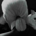 $200 million kitty: Meet Choupette, the world's richest cat, whose lifestyle would make Cleopatra envious