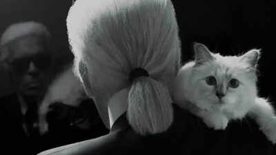 $200 million kitty: Meet Choupette, the world's richest cat, whose lifestyle would make Cleopatra envious