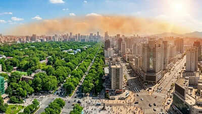 Cities could become twice as deadly without trees: Study reveals how urban forests slash heat by nearly 50%