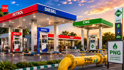 Fuel price hike could change what vehicles Indians buy: Here’s how