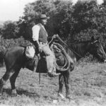 In 1908, a cowboy found giant bones in a New Mexico arroyo and unearthed the Folsom site