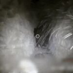 Watch: IDF shares footage of Hezbollah living quarters in underground tunnels in south Lebanon