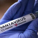 Hantavirus may've spread to remote island
