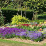 The biggest mistake people make with full-sun flower beds that start looking dull by late summer