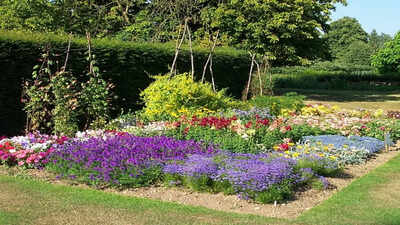 The biggest mistake people make with full-sun flower beds that start looking dull by late summer
