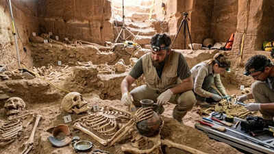 Indiana Jones comes to life: 12 skeletons found in a hidden Petra tomb beneath the Treasury
