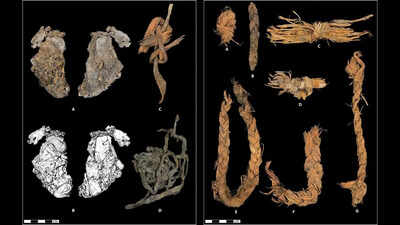 Inside a cave older than Egypt’s pyramids: 12,000-year-old stitched piece of elk hide may be the world’s oldest clothing