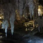 In the early 1900s, cavers in Western Australia found massive bones and unearthed Mammoth Cave, a lost world of giant fossils