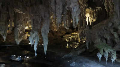 In the early 1900s, cavers in Western Australia found massive bones and unearthed Mammoth Cave, a lost world of giant fossils
