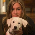 Jennifer Aniston Home Decor: Artistic elegance of Jennifer Aniston's luxurious home |