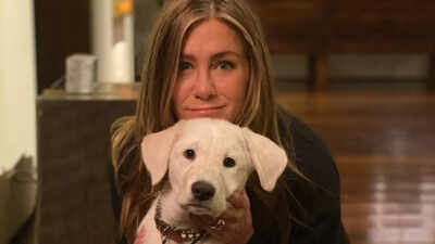 Jennifer Aniston Home Decor: Artistic elegance of Jennifer Aniston's luxurious home |