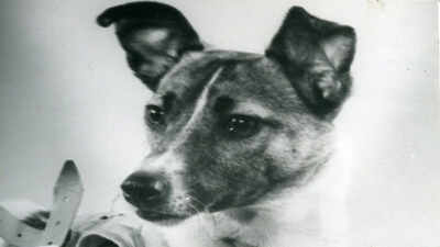 In 1957, a Moscow stray dog was sent into orbit, and her lonely flight paved the way for human space travel
