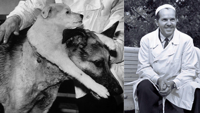 Meet Vladimir Demikhov: Scientist who created a two-headed dog and changed medicine forever