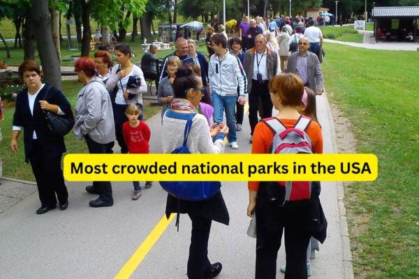 5 most crowded national parks in the USA; what travellers should know