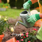 Plants that thrive even when you forget