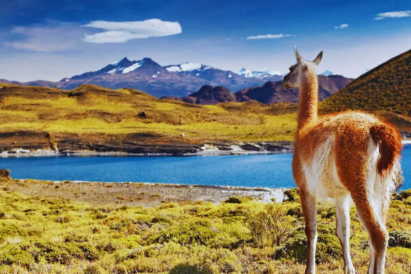 5 unique national parks in South America where waterfalls, wildlife and wilderness come alive