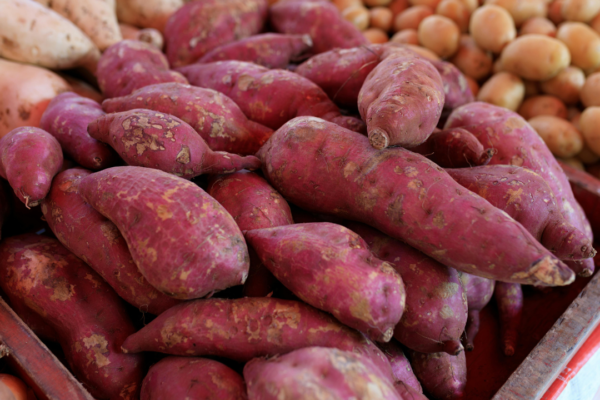 Which one is actually healthier for your body?
