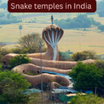5 snake temples in India that attract thousands of devotees and curious travellers every year