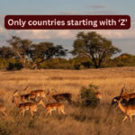 There are only 2 countries starting with ‘Z’ and why travellers should explore them