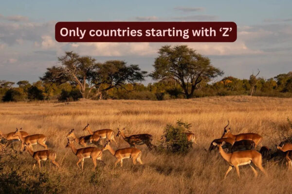There are only 2 countries starting with ‘Z’ and why travellers should explore them