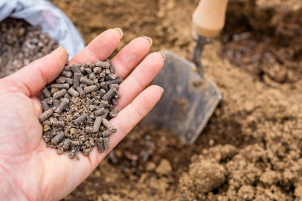 5 smart and pocket-friendly tips to grow a grocery-saving kitchen garden for under ₹1,000