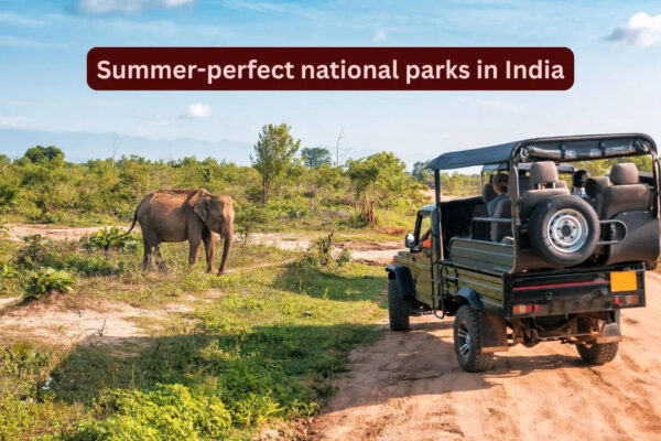 7 summer-perfect national parks in India promising an unforgettable escape; best time to visit and more