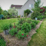 The narrow bed mistake: Why your slim front garden looks cluttered instead of elegant