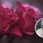 Parenting quote of the day by Ellen Key: ‘At every step the child should be allowed to meet the real experience of life; the thorns should never be plucked from his roses.’