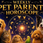 Weekly Pet Parents Horoscope, May 31 to June 06, 2026: What the stars say about your bond with your pets