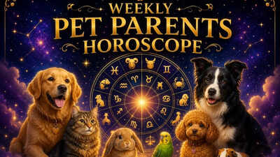 Weekly Pet Parents Horoscope, May 31 to June 06, 2026: What the stars say about your bond with your pets