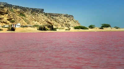10 pink lakes around the world: From Lake Hillier to Pink Lake
