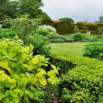 The simple evergreen-to-flowering trick that makes flower beds look good all year