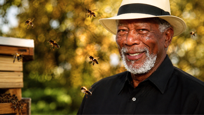 Saving planet and pollinators: Morgan Freeman turned his 124-acre ranch into a paradise sanctuary for bees