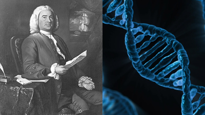 Scientists reveal more than 1.3 million people may share DNA with Maryland’s earliest colonists