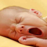 What really happens in your brain when you yawn? It isn’t just about sleep
