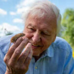 Sir David Attenborough celebrates 100th birthday: The life, legacy, and global impact of the world’s most beloved natural history broadcaster