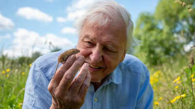 Sir David Attenborough celebrates 100th birthday: The life, legacy, and global impact of the world’s most beloved natural history broadcaster