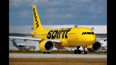 'Buy Spirit Airlines' website crashes as everyone wants in: 'Movement overwhelmed our servers'