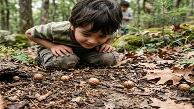 8-year-old boy’s curiosity about 'seed-like' balls in his backyard uncovered a hidden ant network