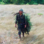 The man who kept fighting World War II alone in the jungle for 30 years: Here’s the truth behind his mission