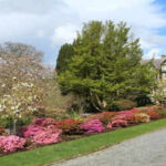 Why repeating plants makes a garden border look instantly better