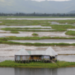 This mysterious floating lake with circular islands in India is also home to one of the world’s longest snakes