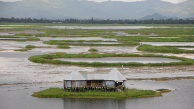 This mysterious floating lake with circular islands in India is also home to one of the world’s longest snakes