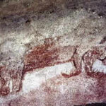 Forgotten fossils reveal the giant egg-laying mammals of ancient Australia
