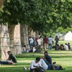Trees cut extra city heat by half, but not quite where most needed
